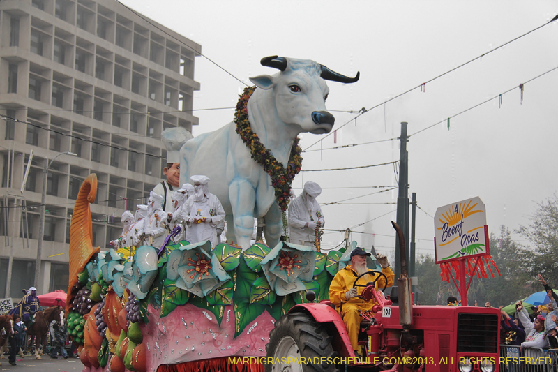 Rex-Organization-2013-1113