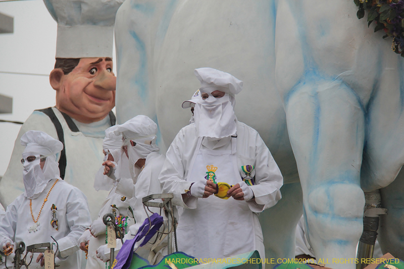 Rex-Organization-2013-1117