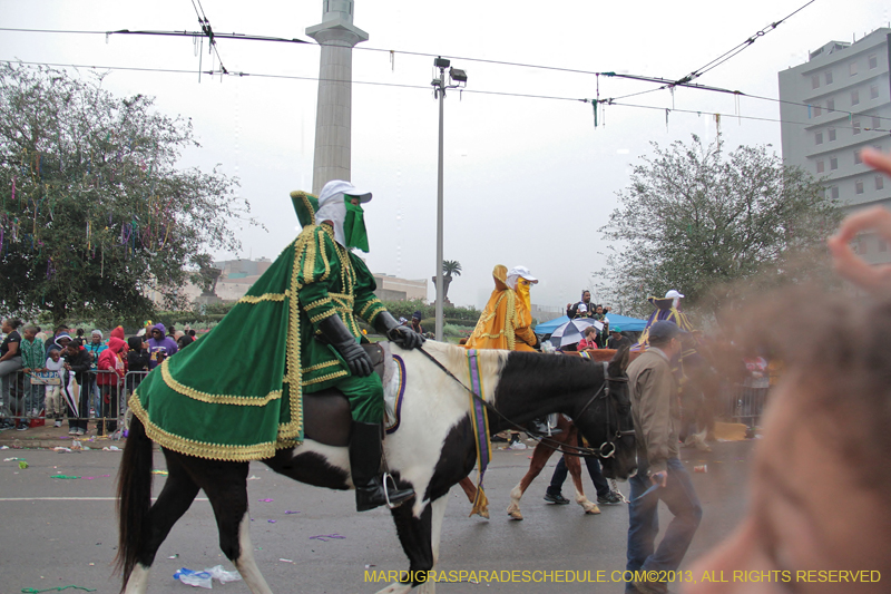 Rex-Organization-2013-1123