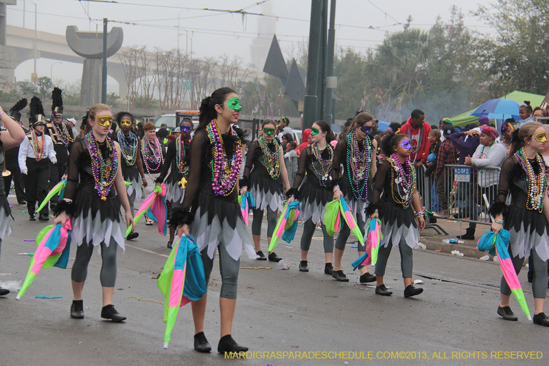 Rex-Organization-2013-1124