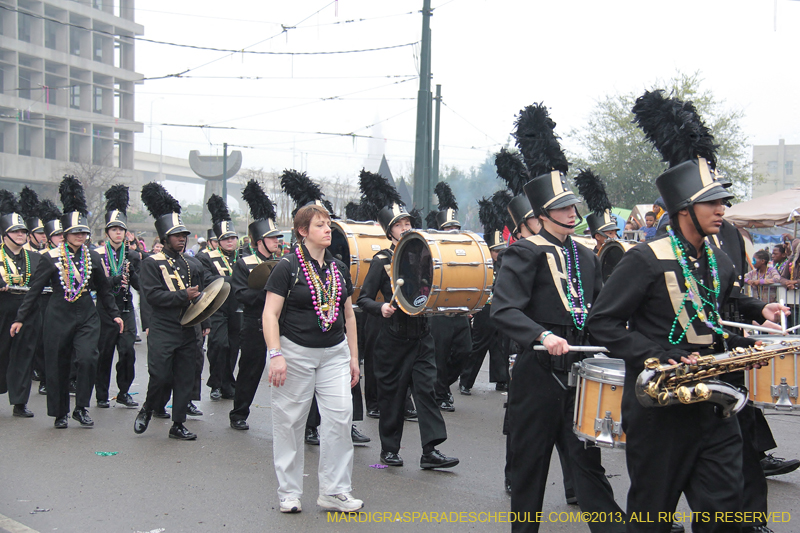 Rex-Organization-2013-1127