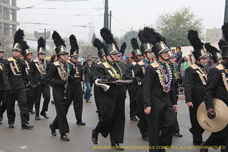 Rex-Organization-2013-1128