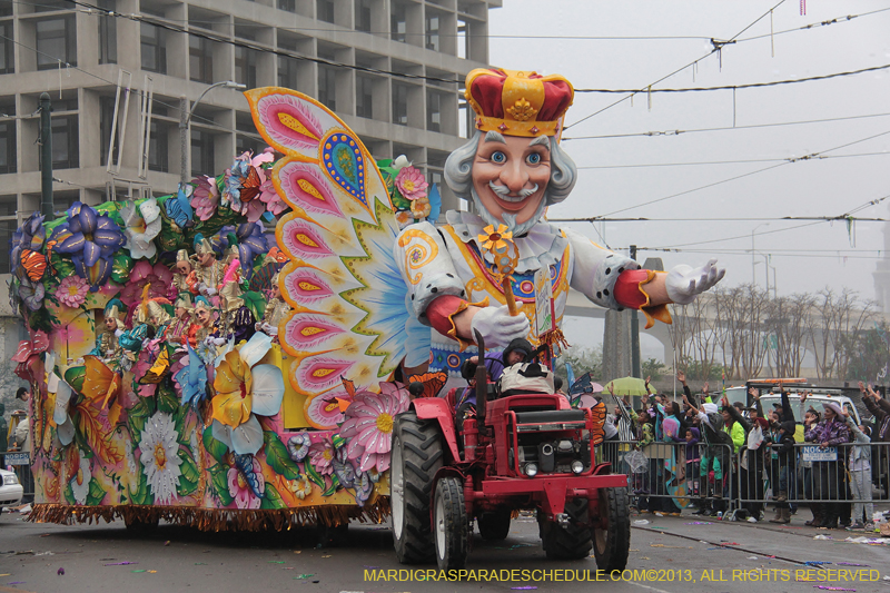 Rex-Organization-2013-1129