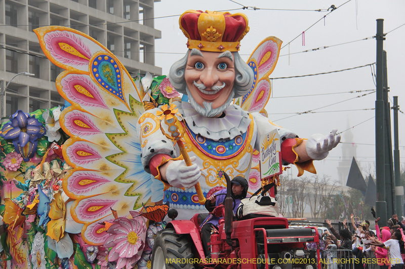 Rex-Organization-2013-1130