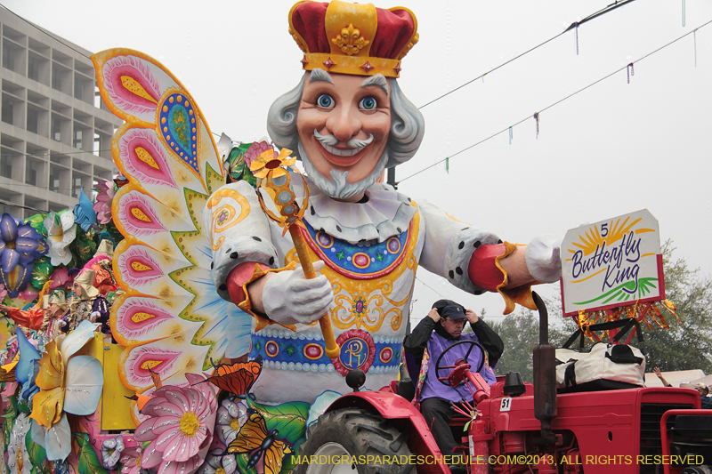 Rex-Organization-2013-1131