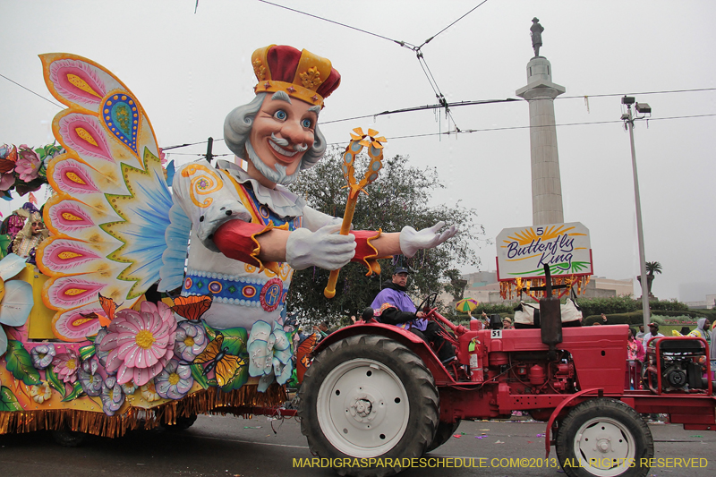 Rex-Organization-2013-1134