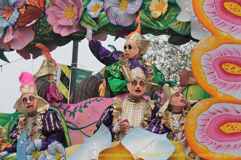 Rex-Organization-2013-1135