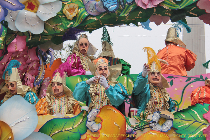 Rex-Organization-2013-1138