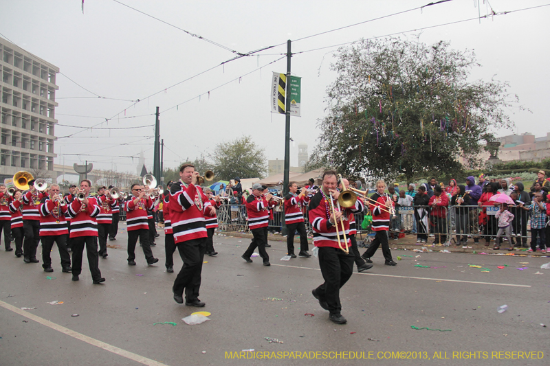 Rex-Organization-2013-1150