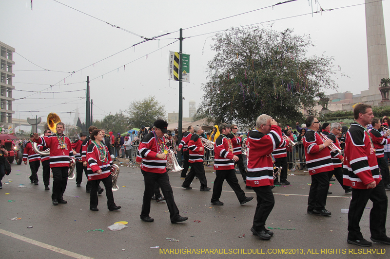 Rex-Organization-2013-1151