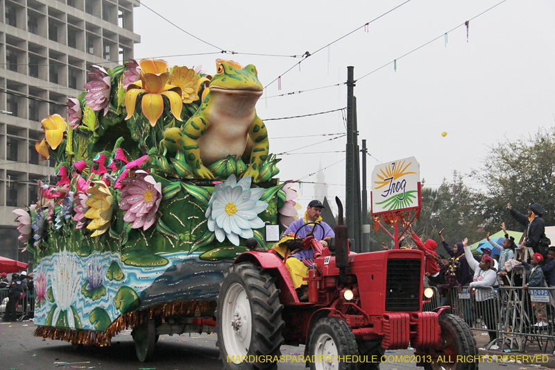 Rex-Organization-2013-1153