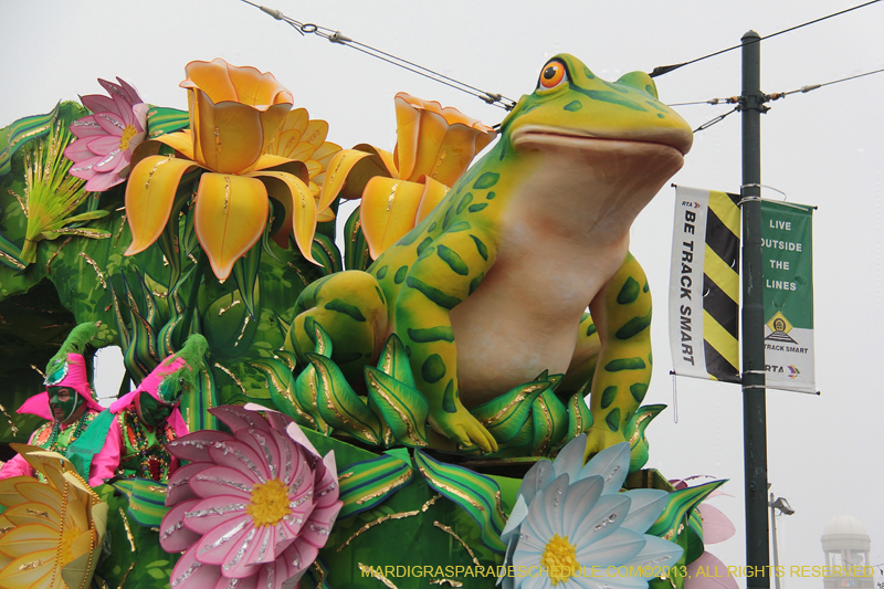 Rex-Organization-2013-1155