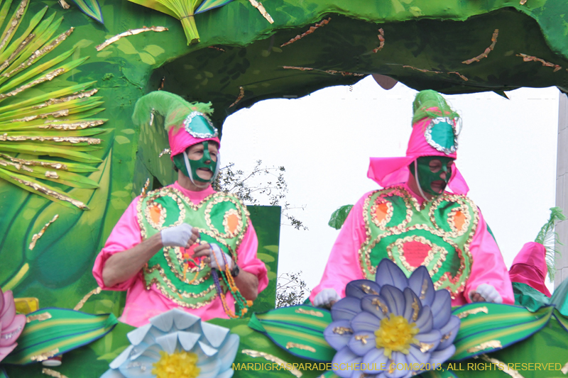 Rex-Organization-2013-1158