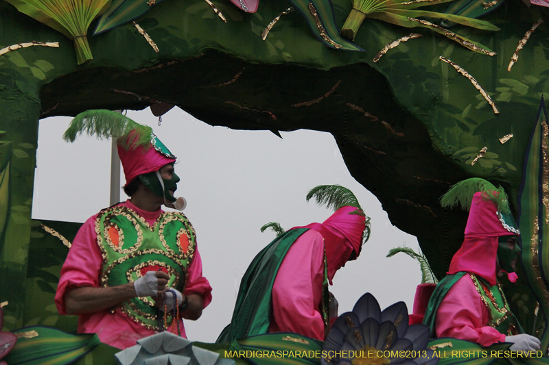 Rex-Organization-2013-1160