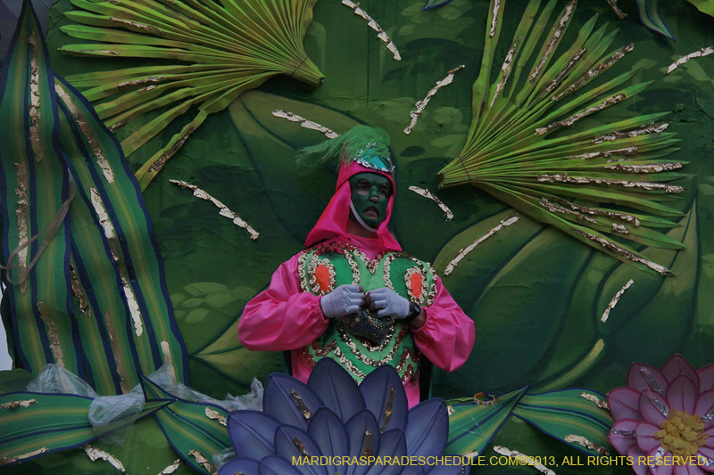 Rex-Organization-2013-1161