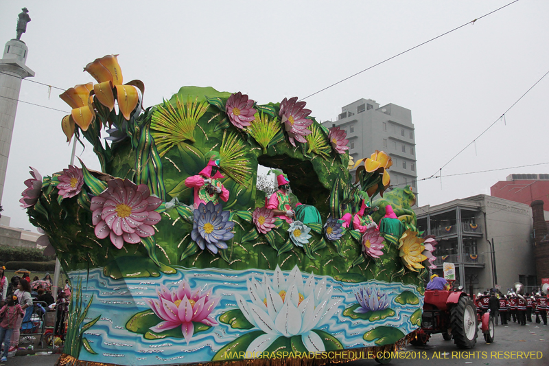 Rex-Organization-2013-1162