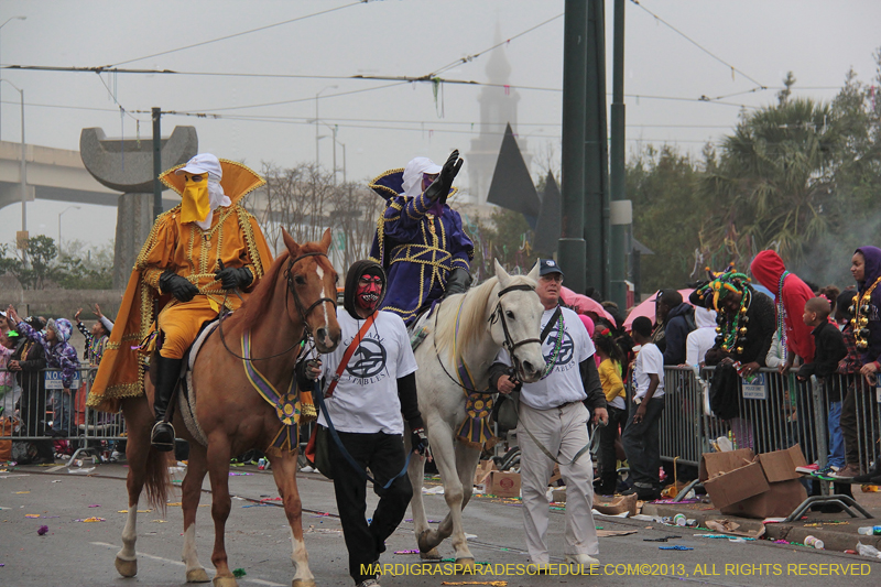 Rex-Organization-2013-1163