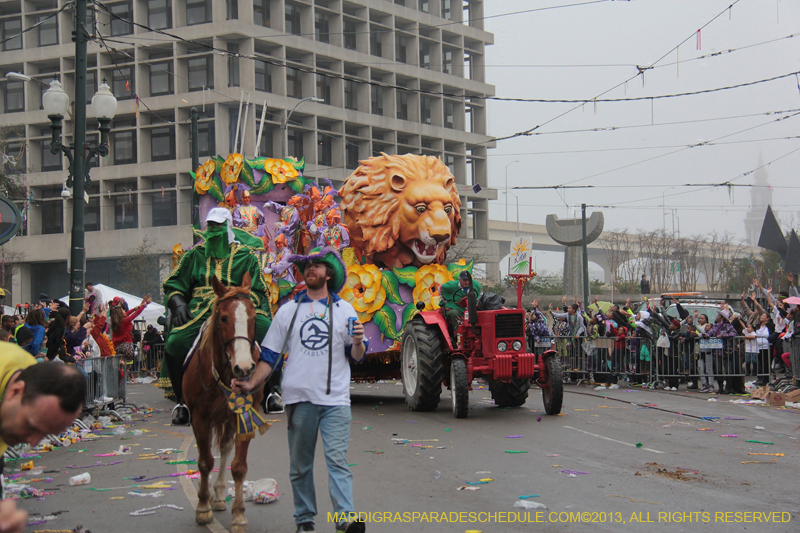 Rex-Organization-2013-1165