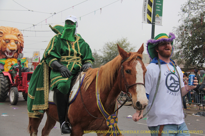 Rex-Organization-2013-1166