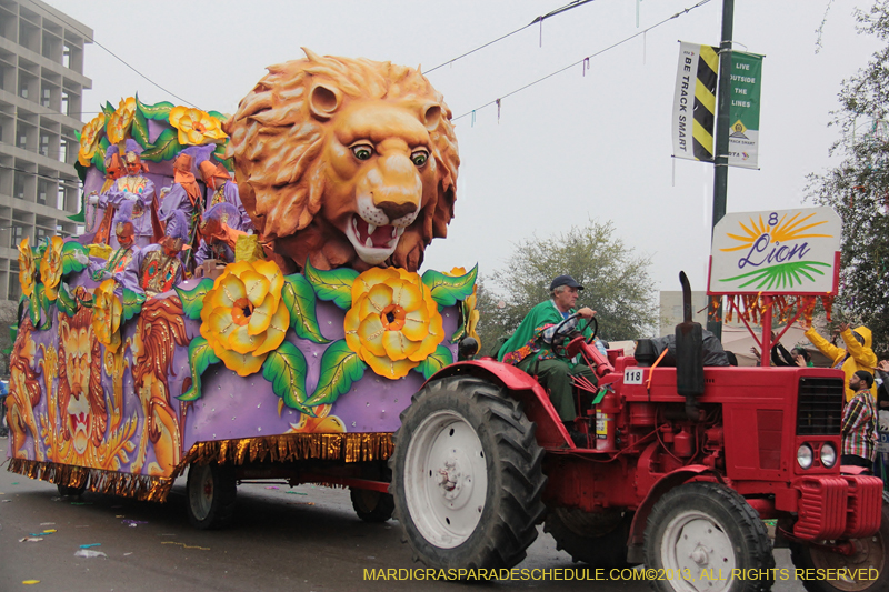 Rex-Organization-2013-1167