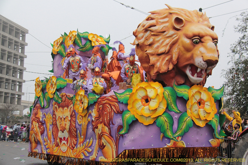 Rex-Organization-2013-1168