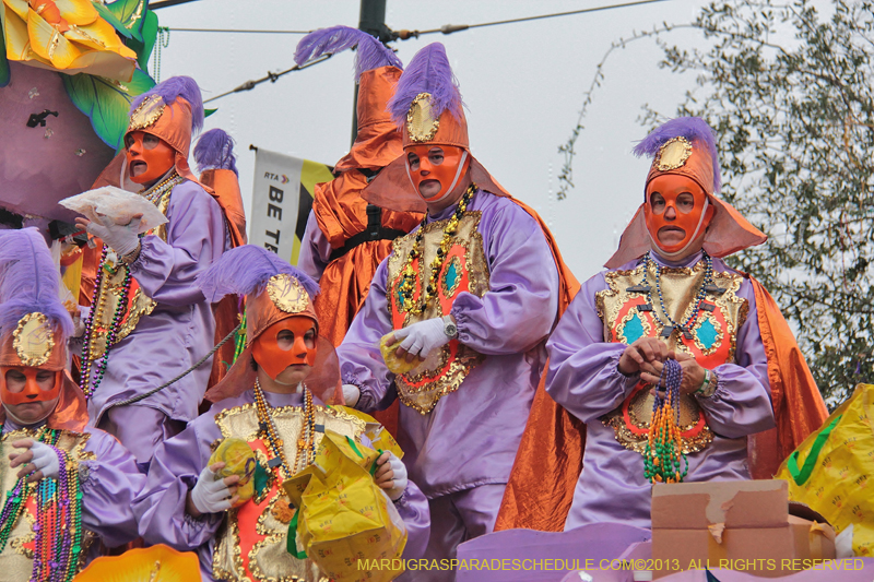 Rex-Organization-2013-1170