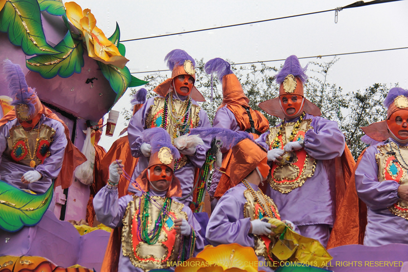 Rex-Organization-2013-1171