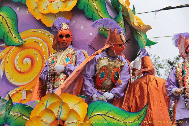 Rex-Organization-2013-1172