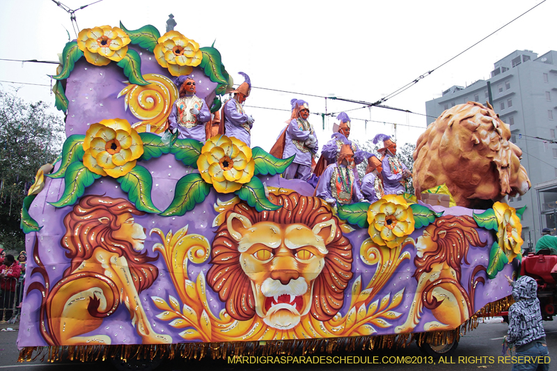 Rex-Organization-2013-1174