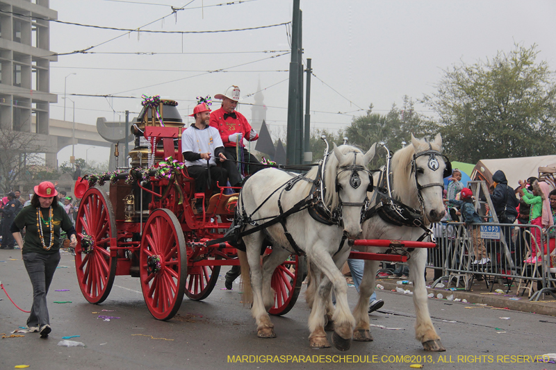 Rex-Organization-2013-1176