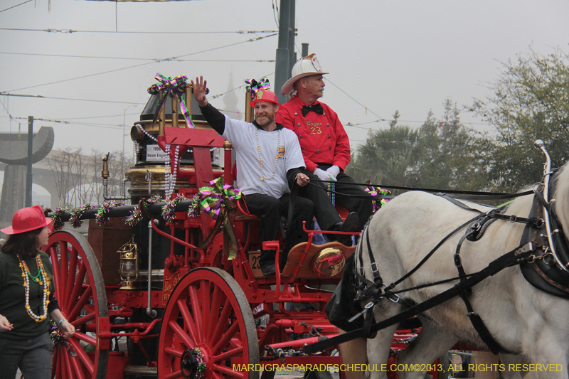 Rex-Organization-2013-1177