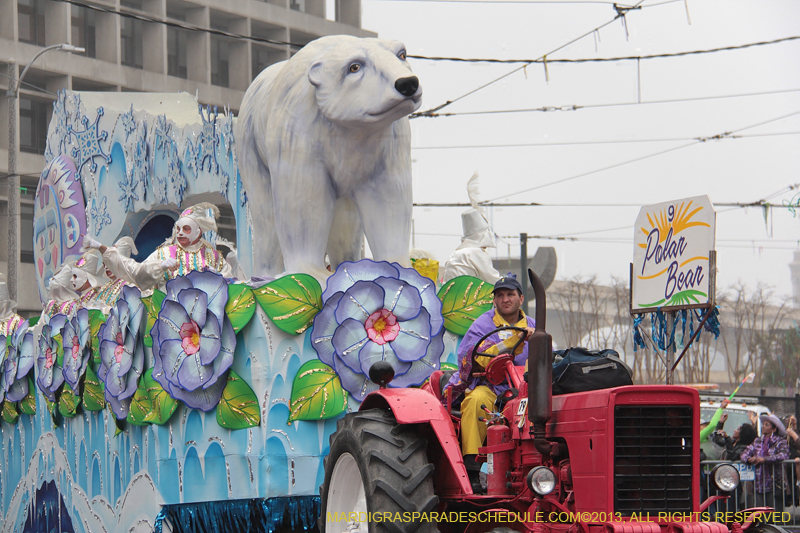 Rex-Organization-2013-1185