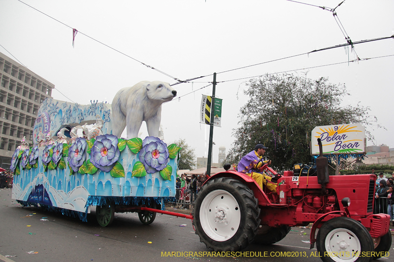 Rex-Organization-2013-1188