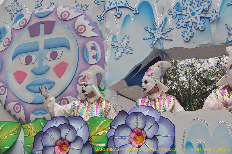 Rex-Organization-2013-1195