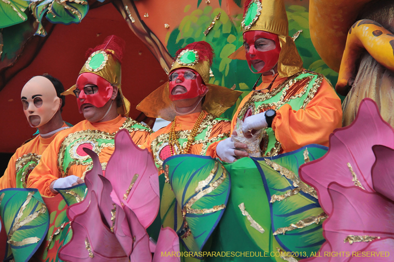 Rex-Organization-2013-1212