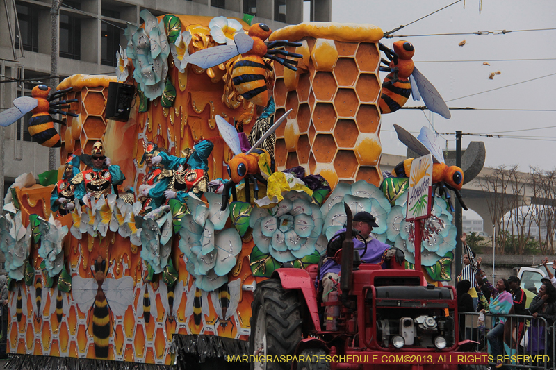 Rex-Organization-2013-1299