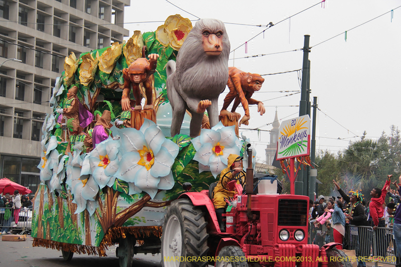 Rex-Organization-2013-1335