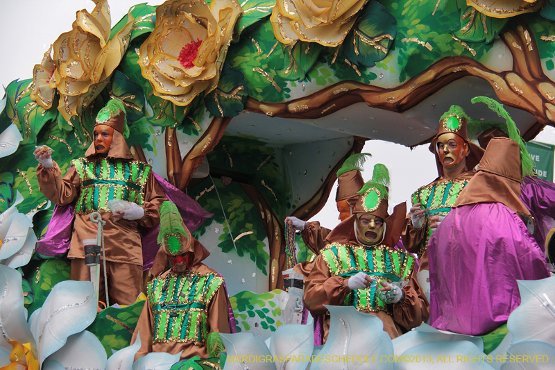 Rex-Organization-2013-1338