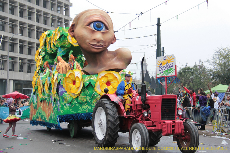 Rex-Organization-2013-1356