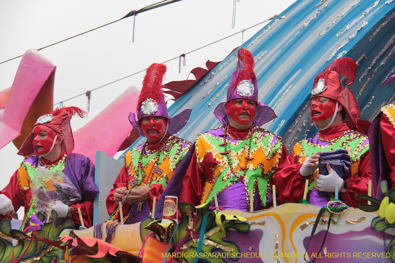 Rex-Organization-2013-1383