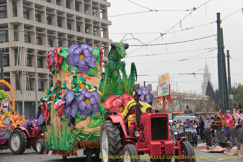 Rex-Organization-2013-1386