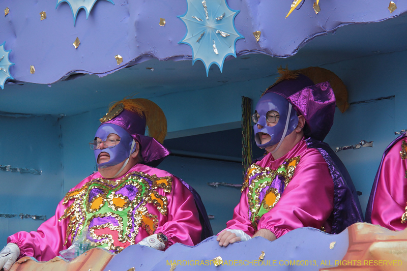 Rex-Organization-2013-1398