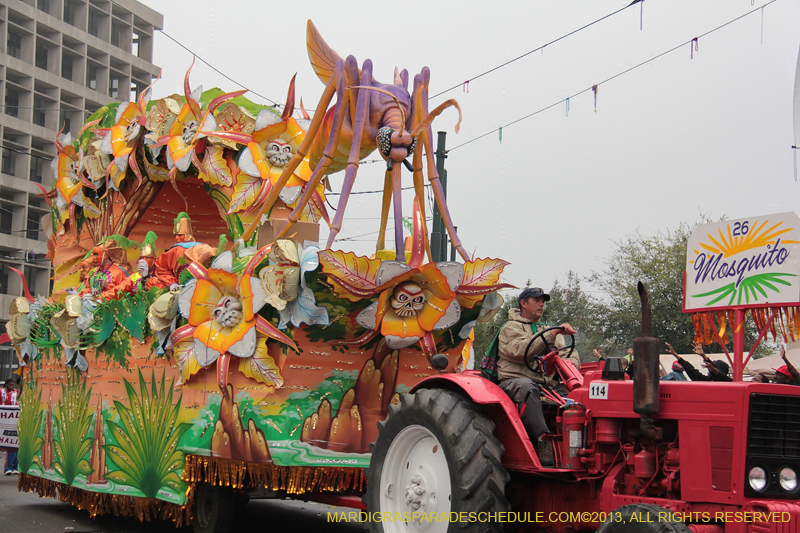 Rex-Organization-2013-1403