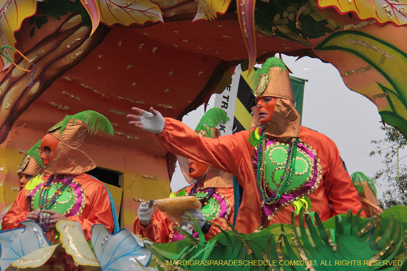 Rex-Organization-2013-1406