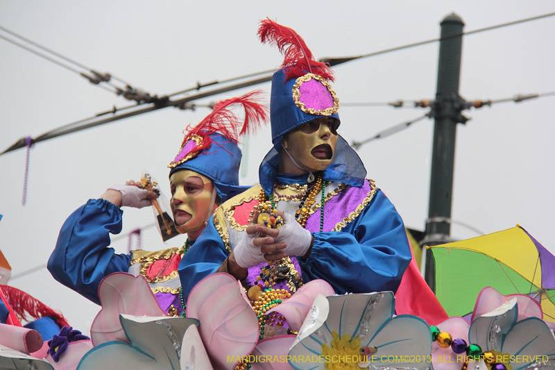 Rex-Organization-2013-1417