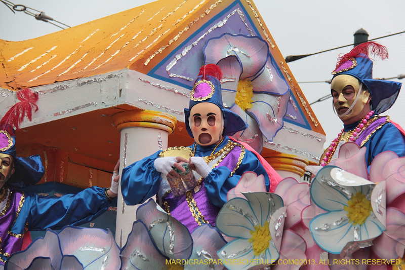 Rex-Organization-2013-1419