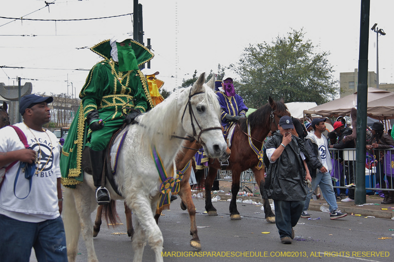 Rex-Organization-2013-1426