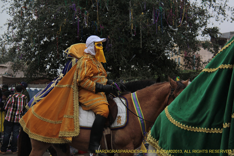 Rex-Organization-2013-1428