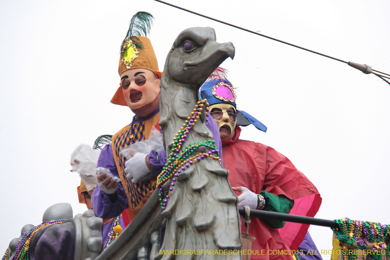 Rex-Organization-2013-1433