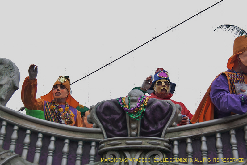 Rex-Organization-2013-1437